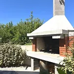 Santolina *