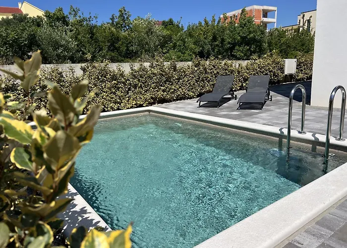 Santolina Масленица